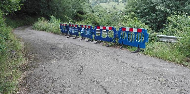 El mal estado de los viales y el riesgo de argayos, puede aislar al centenar de vecinos de Perlín y Pintoria