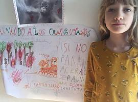 Una pequeña de 7 años de Gijón recauda fondos para salvar a los orangutanes 