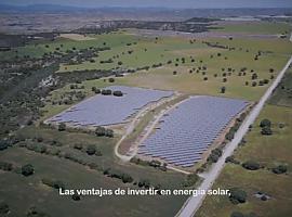 Greenpeace pide más protagonismo de energía solar y autoconsumo para la recuperación económica