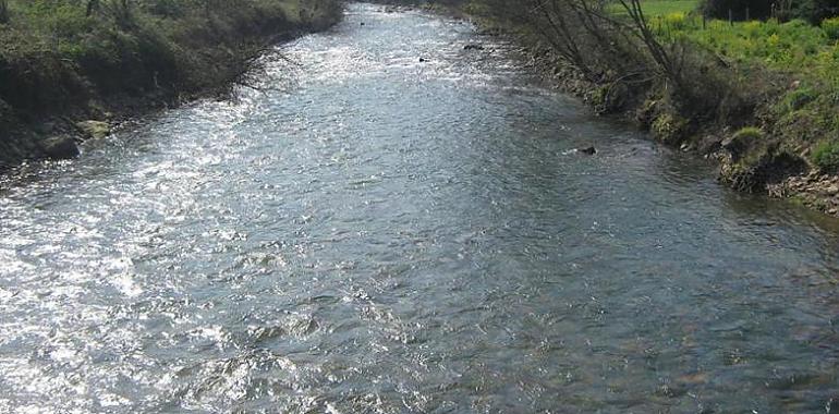 CHCantábrico licita el proyecto de defensa de Trubia frente a las avenidas