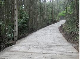 El Camín de Casa Claudio, en Puago/Poago, como nuevu