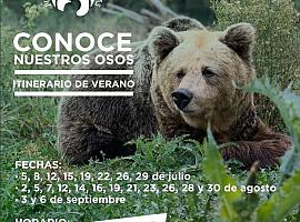 Los itinerarios de verano Conoce Nuestros Osos comienzan esta semana