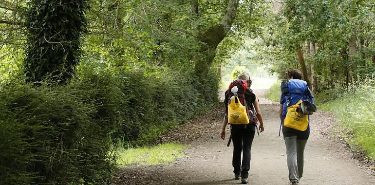 Por un Camino de Santiago más respetuoso que nunca con el medio ambiente