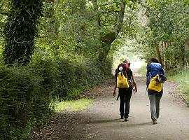 Por un Camino de Santiago más respetuoso que nunca con el medio ambiente