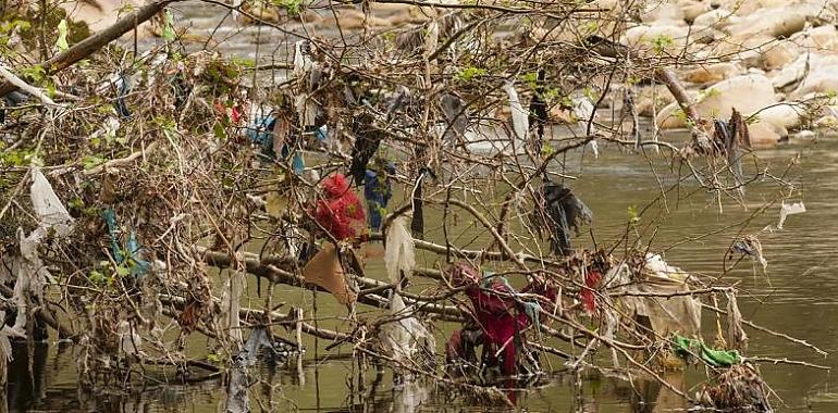 Basta ya de bolsas de plásticos abandonadas en el medio ambiente asturiano