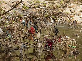 Basta ya de bolsas de plásticos abandonadas en el medio ambiente asturiano