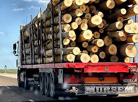 Medidas de apoyo al transporte por carretera de viajeros y mercancías 