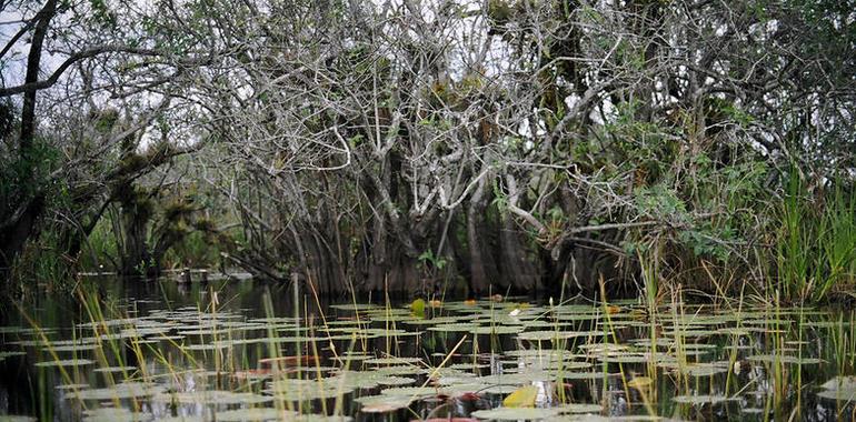 Ramsar incorpora seis sitios de México al listado de humedales de importancia internacional 
