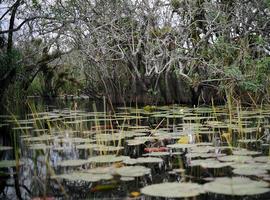 Ramsar incorpora seis sitios de México al listado de humedales de importancia internacional 