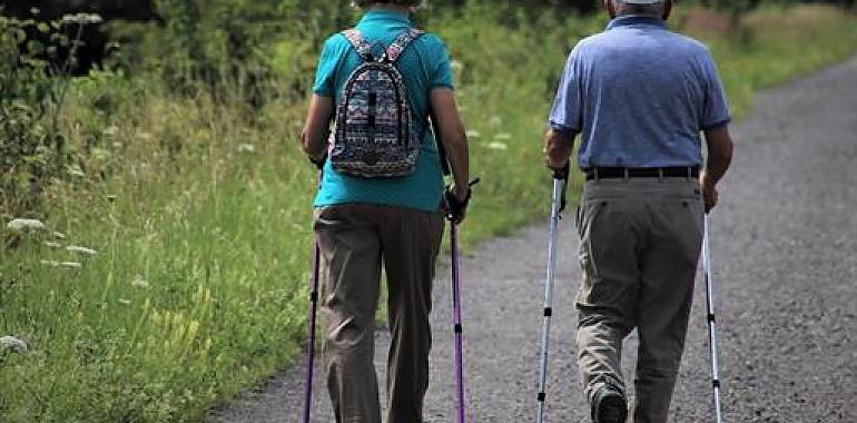 La nómina de pensiones contributivas de julio se sitúa en 9.882,66 millones de euros