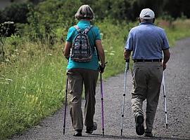 La nómina de pensiones contributivas de julio se sitúa en 9.882,66 millones de euros