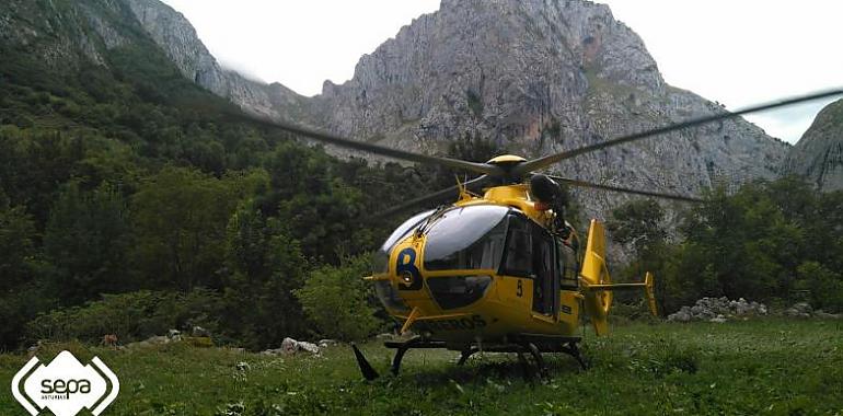 Trasladada al HUCA una vecina de Bulnes con la pierna fracturada