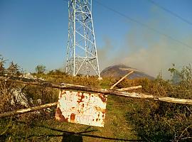 Proyecto piloto silvopastoral en Cabranes para prevenir incendios forestales