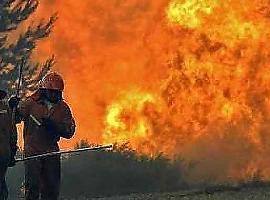 Asturias activa la emergencia fase 0 por un incendio forestal cerca de Muniellos