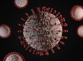 58 nuevos positivos de coronavirus en Asturias, 7 hospitalizados