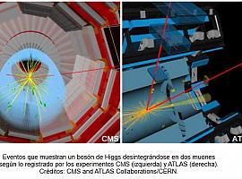 Primera evidencia de que el bosón de Higgs interactúa con la “segunda generación”  de partículas 