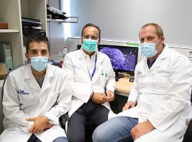 Descubren una proteína llave para evitar la metástasis del cáncer de mama 