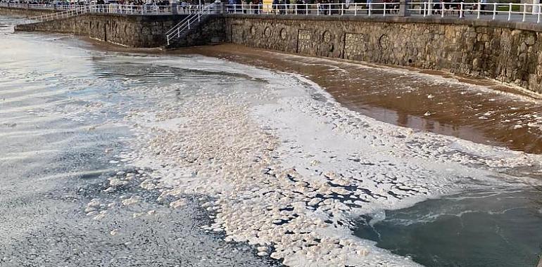 Ciudadanos denuncia un episodio de contaminación en el Río Piles
