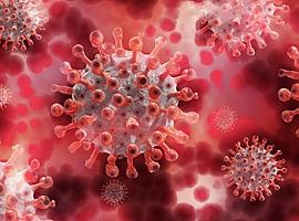 58 nuevos casos de coronavirus en Asturias, 10 de ellos en Laviana