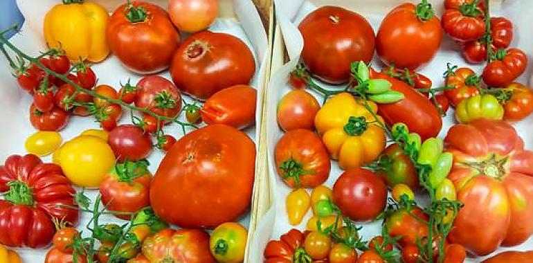 Científicos españoles buscan recuperar el sabor de los tomates