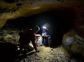 Neandertales y sapiens ya se habían cruzado en Asturias