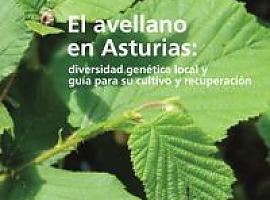 Serida edita “El avellano en Asturias: diversidad genética local y guía para su cultivo y recuperación”