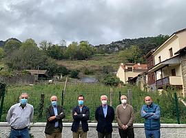 Los osos de Asturias estrenan comité científico asesor en la FOA  