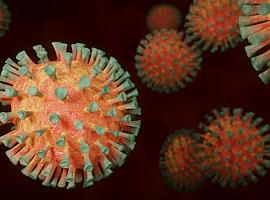 Asturias registra 222 nuevos casos por coronavirus