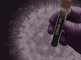 Confirmados 198 nuevos casos de coronavirus en Asturias