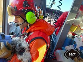 Rescate aéreo de un senderista y su perro herido enriscados en el picu Turbina