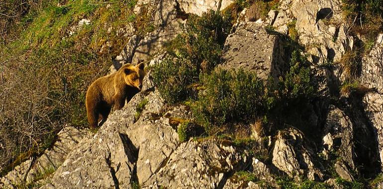 Turismo Rural de Fuentes del Narcea lanza ECOTURISMO | ENRED