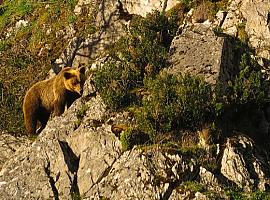 Turismo Rural de Fuentes del Narcea lanza ECOTURISMO | ENRED