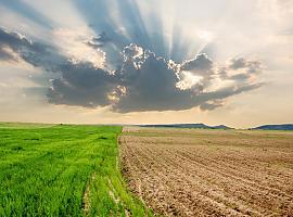 Mañana se celebra el Dia contra el Cambio Climático en un planeta cada vez más cálido