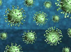 Ocho fallecidos por coronavirus en Asturias y 288 nuevos casos