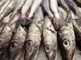 Comer pescado disminuye el riesgo de diabetes