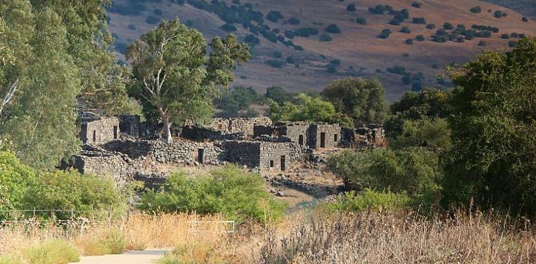 El Senado aprueba una declaración institucional a favor de la sanidad en el medio rural