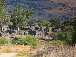 El Senado aprueba una declaración institucional a favor de la sanidad en el medio rural