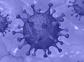 249 nuevos casos de coronavirus y 12 fallecimientos más en Asturias