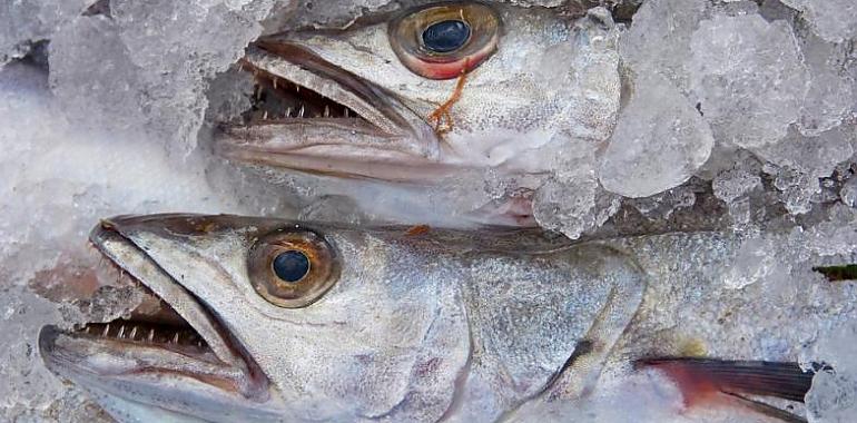 El Pescado de confianza de Nueva Rula de Avilés se incorpora a Alimentos del Paraíso