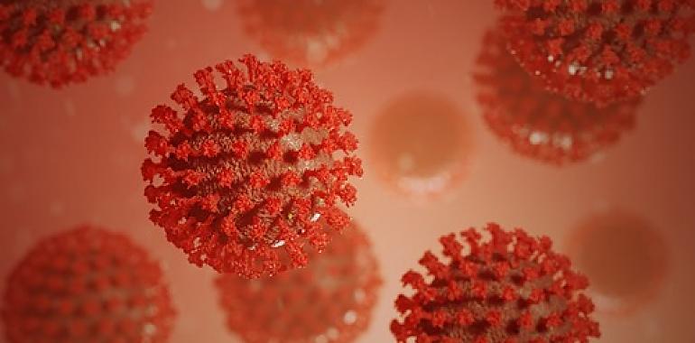 Confirmados 261 nuevos casos de coronavirus y 22  muertes en Asturias