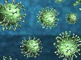 Fallecen 8 mujeres por coronavirus en Asturias. Los nuevos contagios bajan a 141