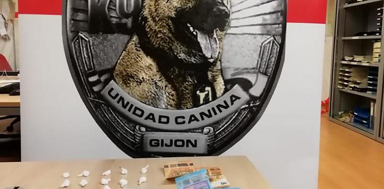 Detenido en Gijón por un delito contra la salud pública