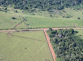 Los humanos cultivaron en el Amazonas 10 mil años pero nunca deforestaron hasta la actualidad