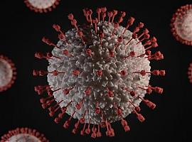 176 nuevos casos de coronavirus en Asturias y 15 fallecimientos más