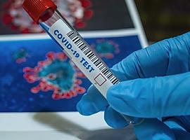 Los nuevos casos de coronavirus descienden a 115 el domingo