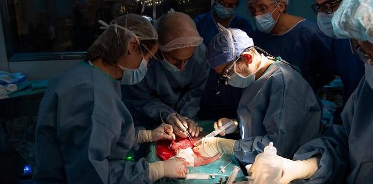 Así fue el primer trasplante de útero en España 
