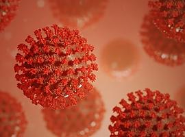 Cuatro fallecidas por la covid en Asturias y 73 nuevos casos de coronavirus