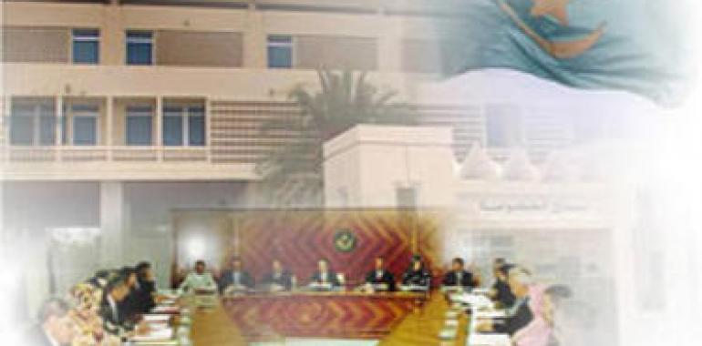 17 empresarios canarios buscan en Mauritania posibilidades de negocio