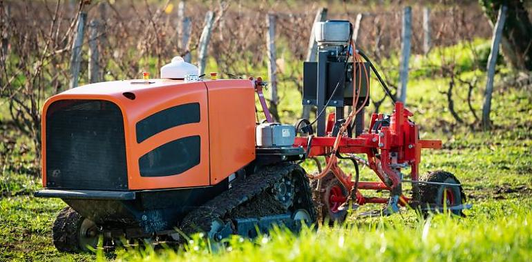 En proyecto un láser para eliminar malas hierbas de los cultivos sin necesidad de pesticidas