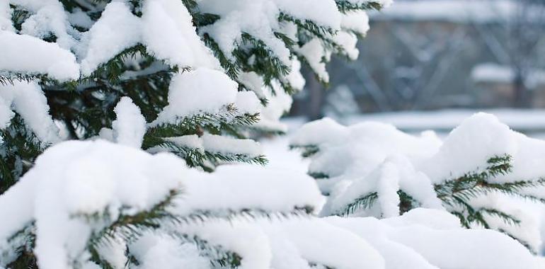 La Delegación del Gobierno activa la fase de  alerta por nieve a partir de la tarde de Nochevieja